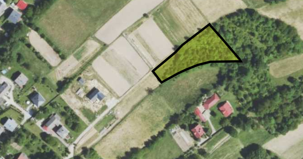 Zdjęcie 8
