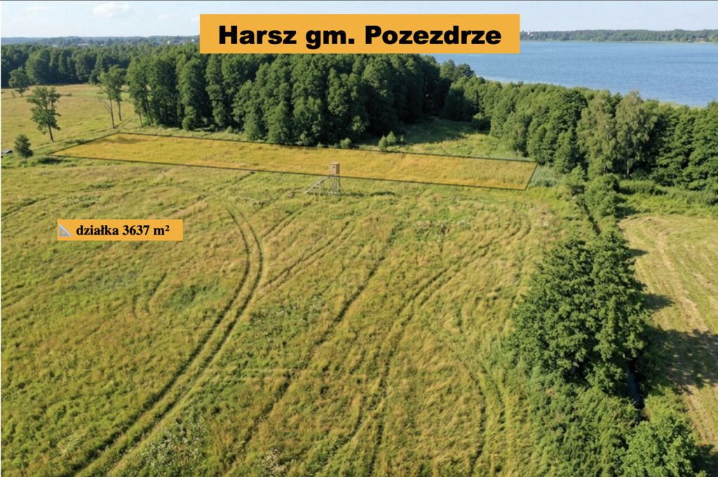 Zdjęcie 2