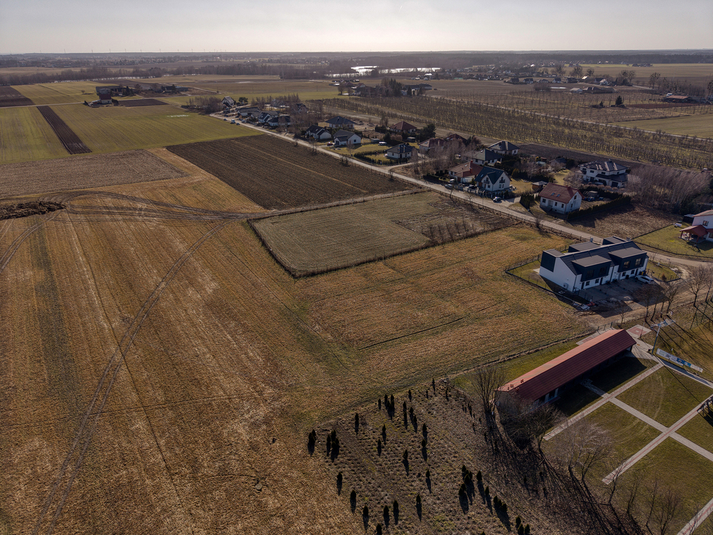 Zdjęcie 12