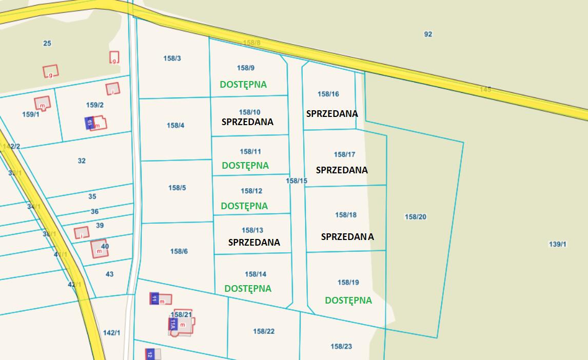 Zdjęcie 10