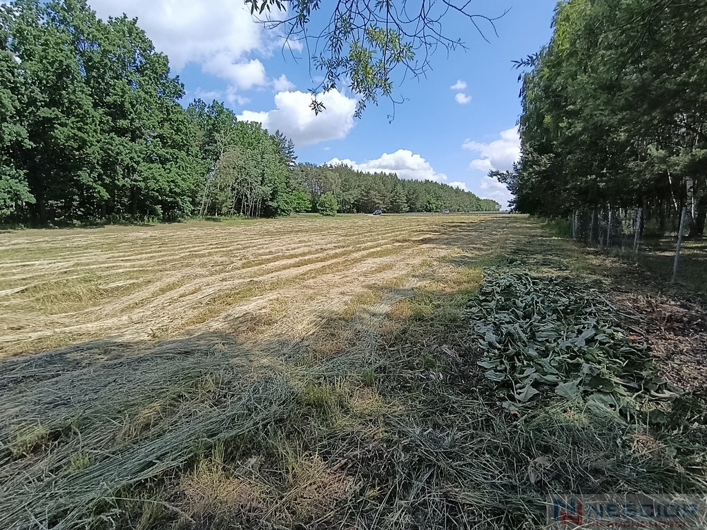 Zdjęcie 8