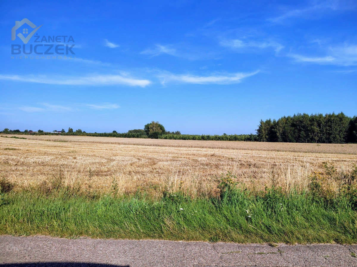 Sprzedam ziemię rolną 12,7428 ha w Januszewie