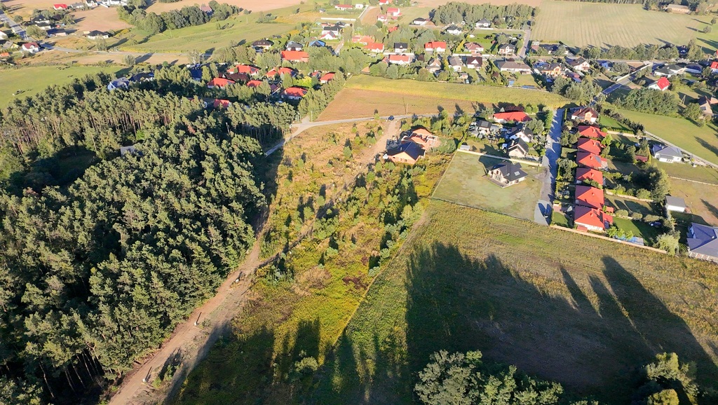 Zdjęcie 13