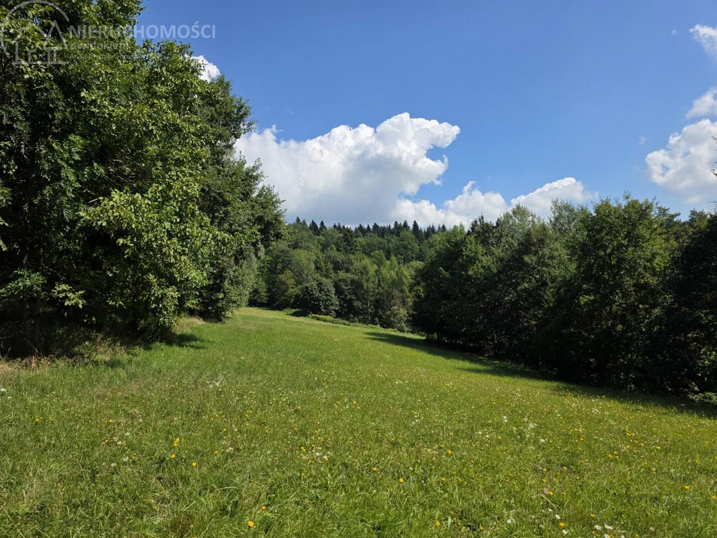Zdjęcie 9