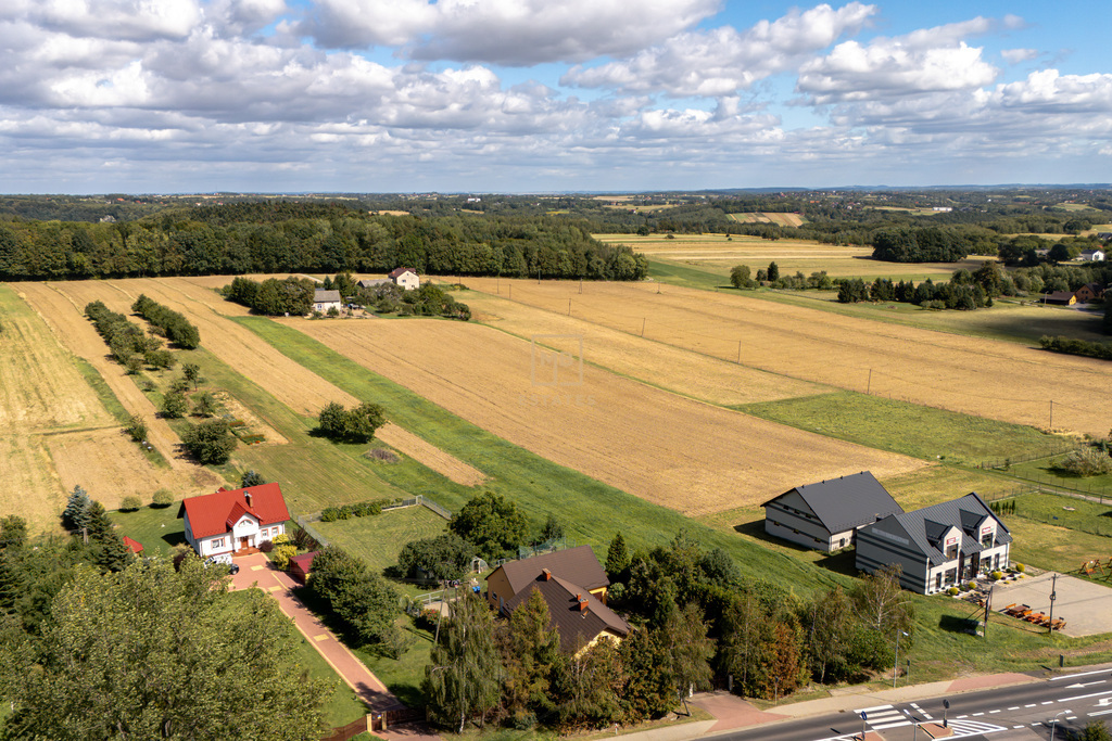 Zdjęcie 10