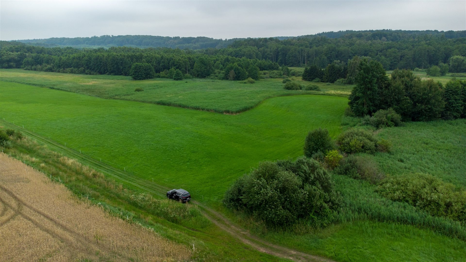 Zdjęcie 10