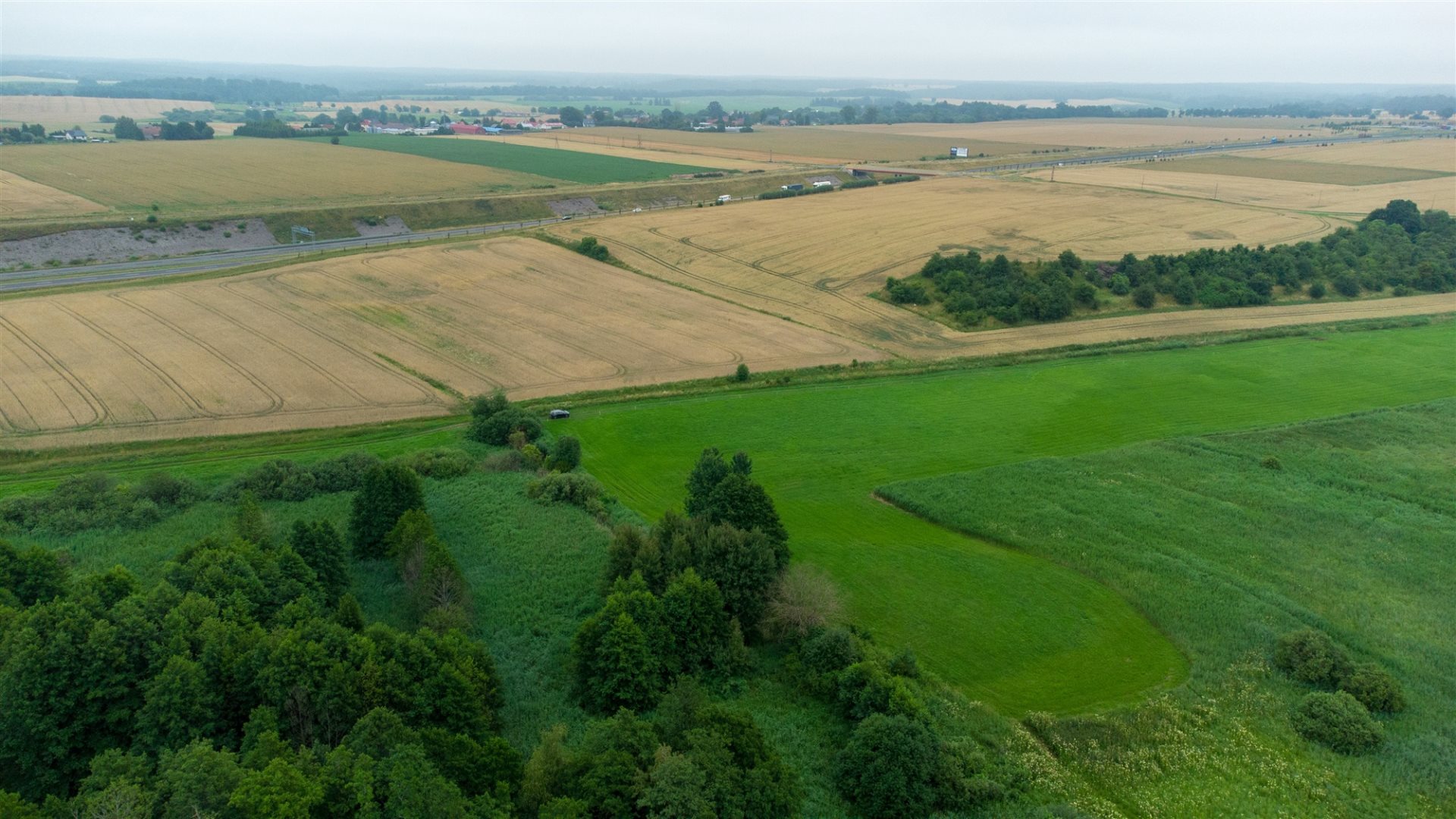 Zdjęcie 11