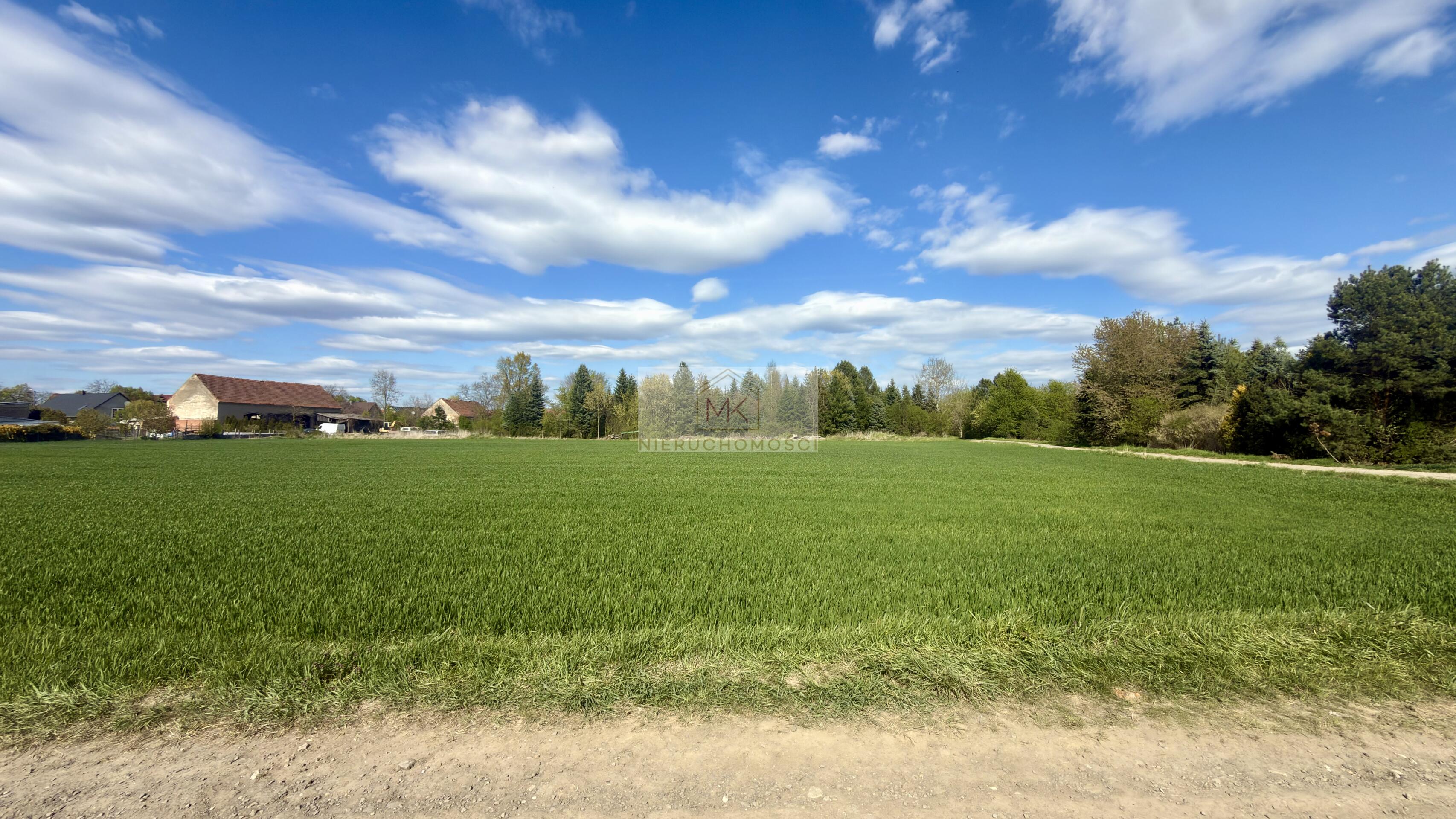 Działka budowlana 8404 m² | MPZP | Podział na 6 działek 20ar i 10ar | przy lesie, Prędocin