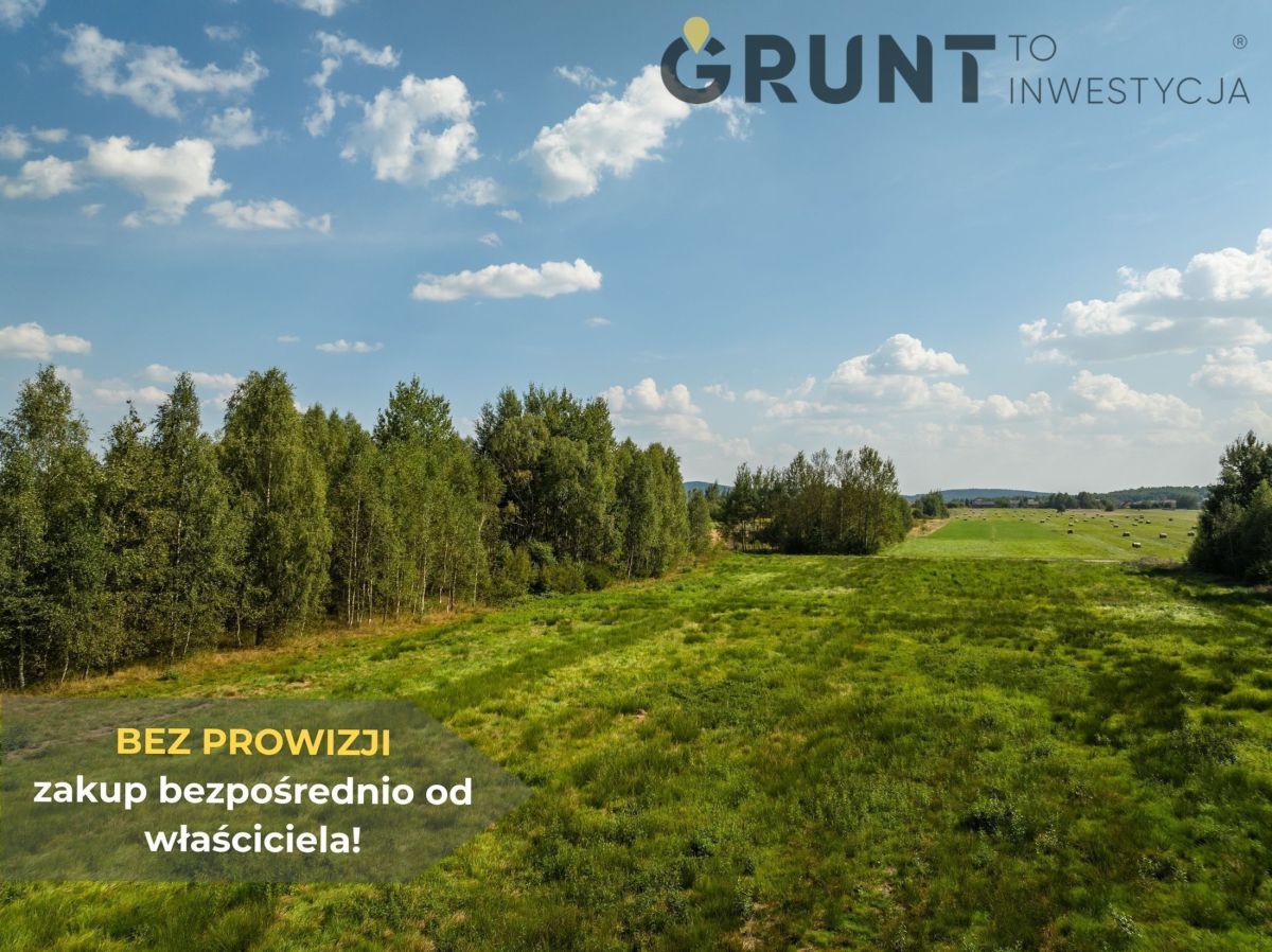 Kompleks działek budowlanych pośród lasu