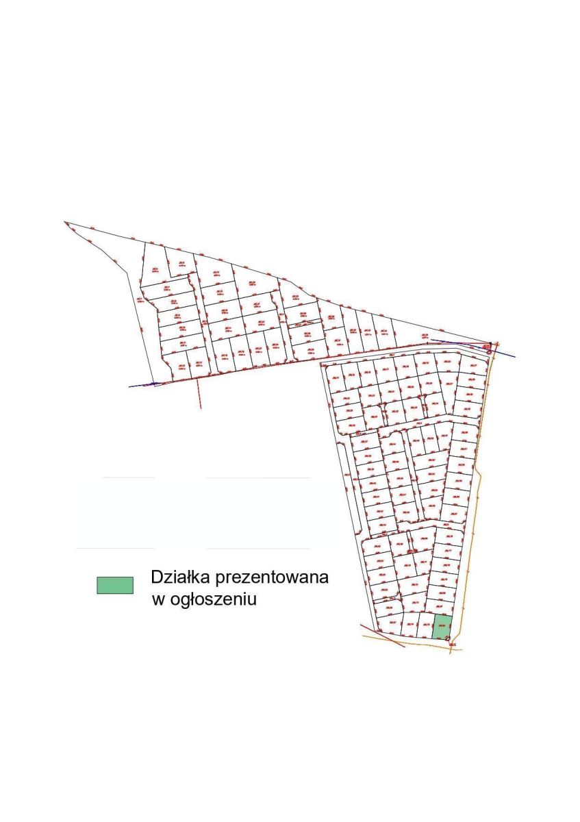 Zdjęcie 14