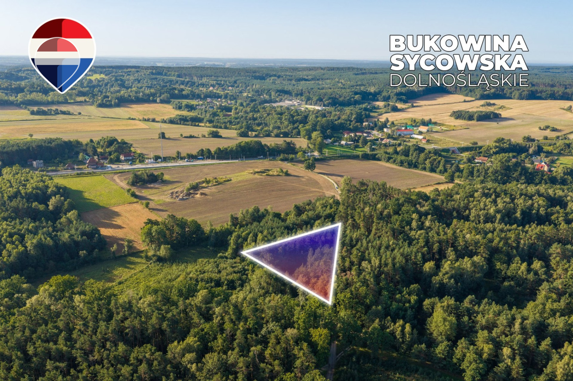 Działka leśna pow. 29.600 m², Bukowina Sycowska