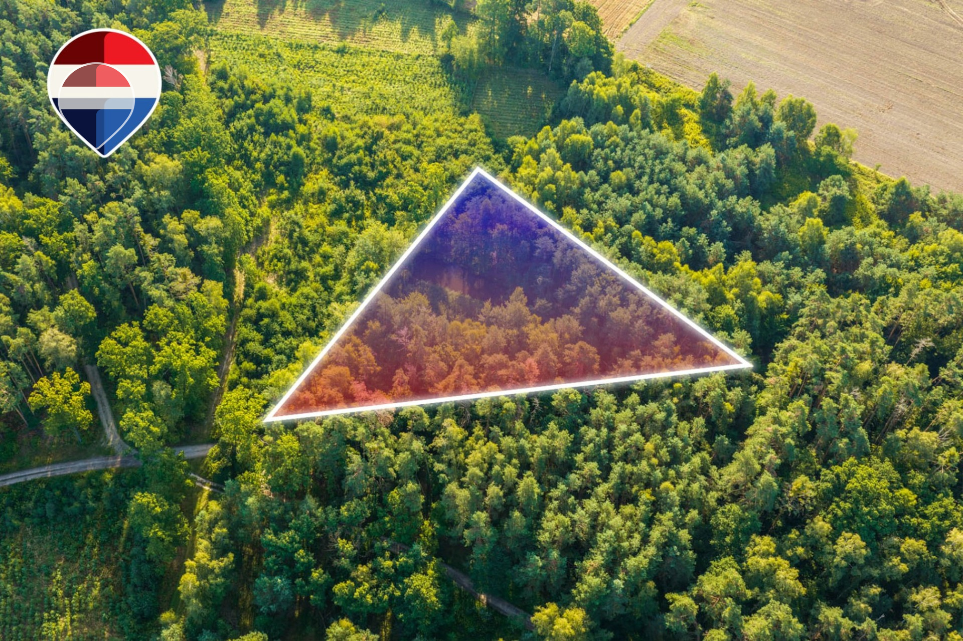Zdjęcie 9