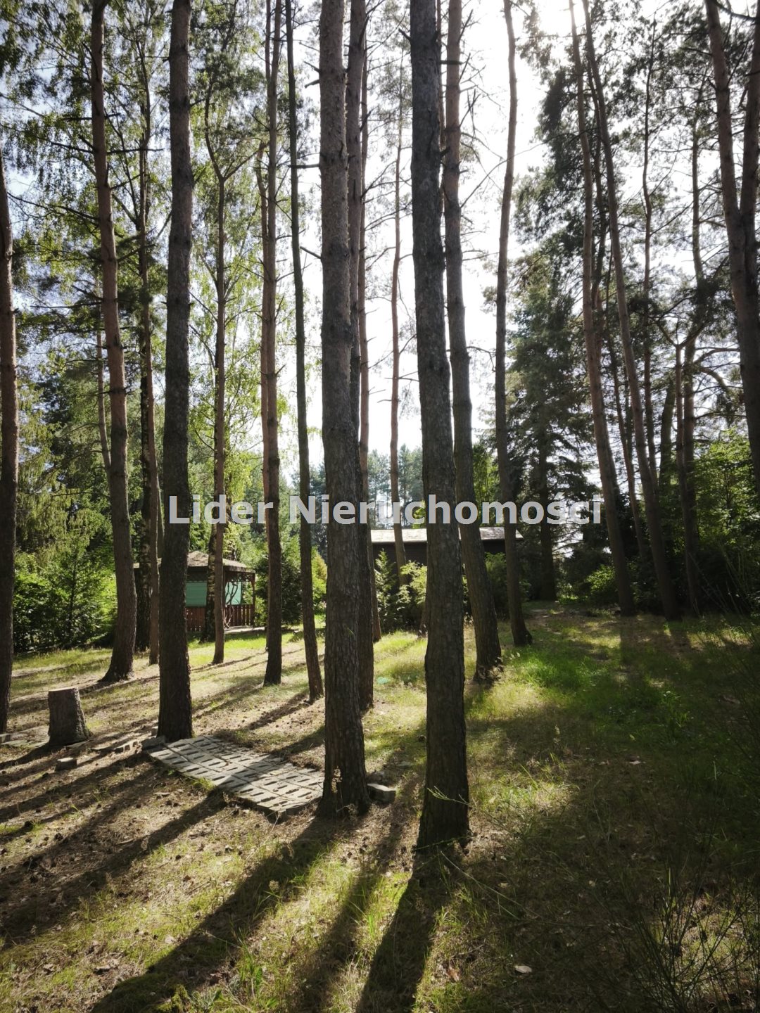Zdjęcie 14