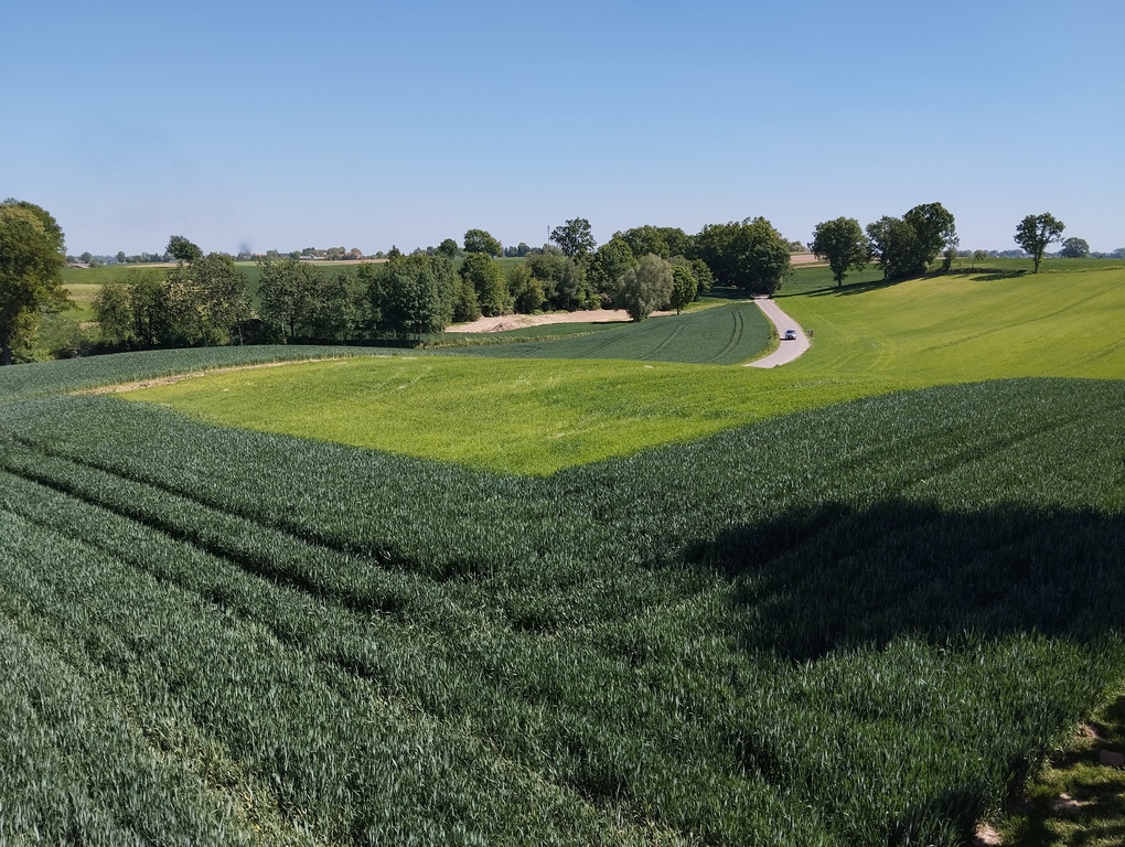 Działka budowlana 2 500 m², Moszenki