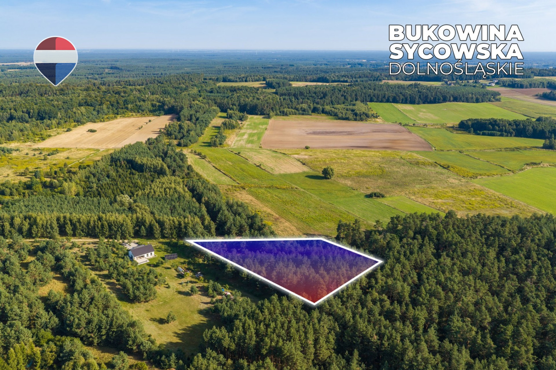 Działka leśna pow. 29.600 m², Bukowina Sycowska