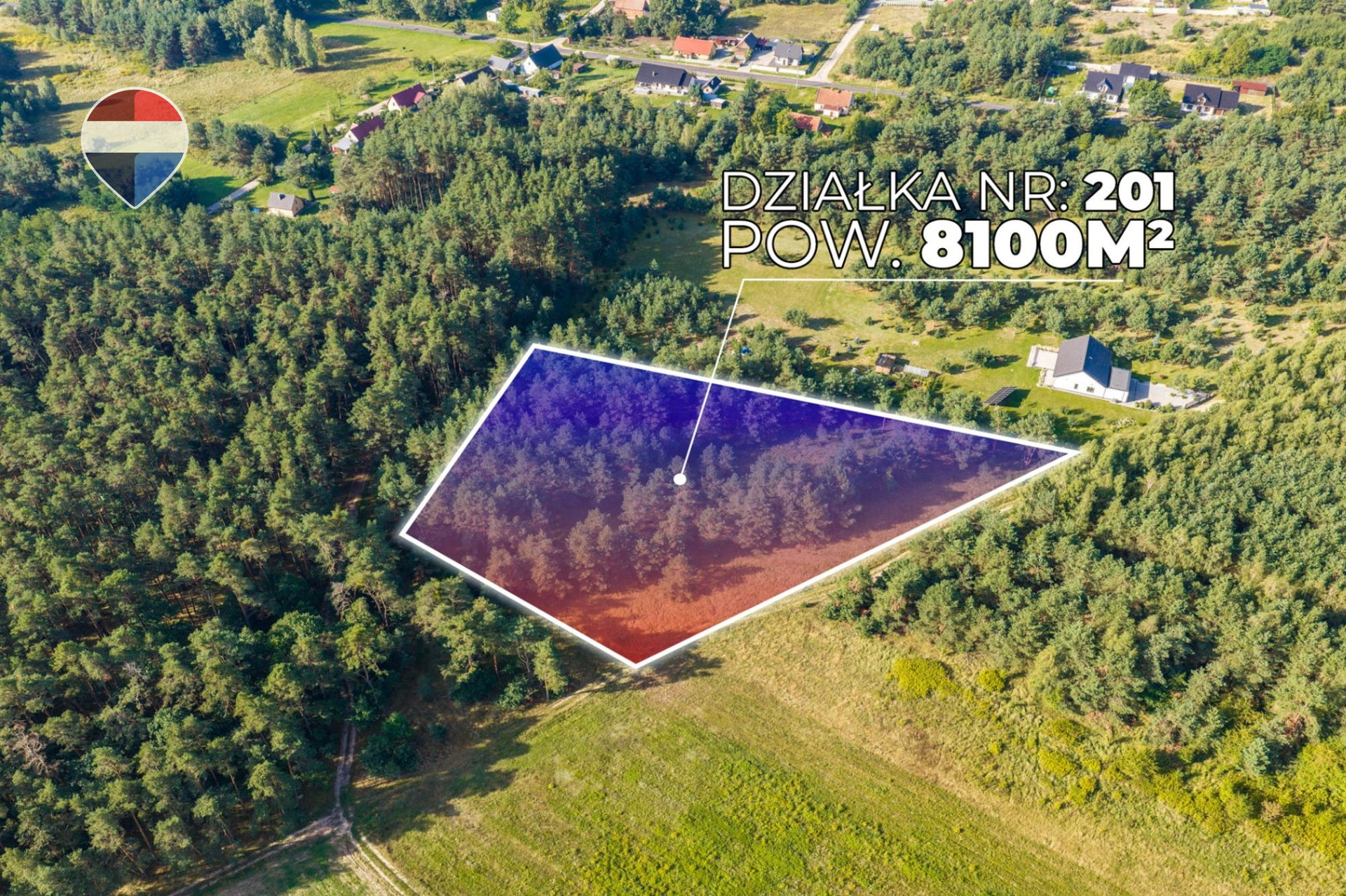 Zdjęcie 6