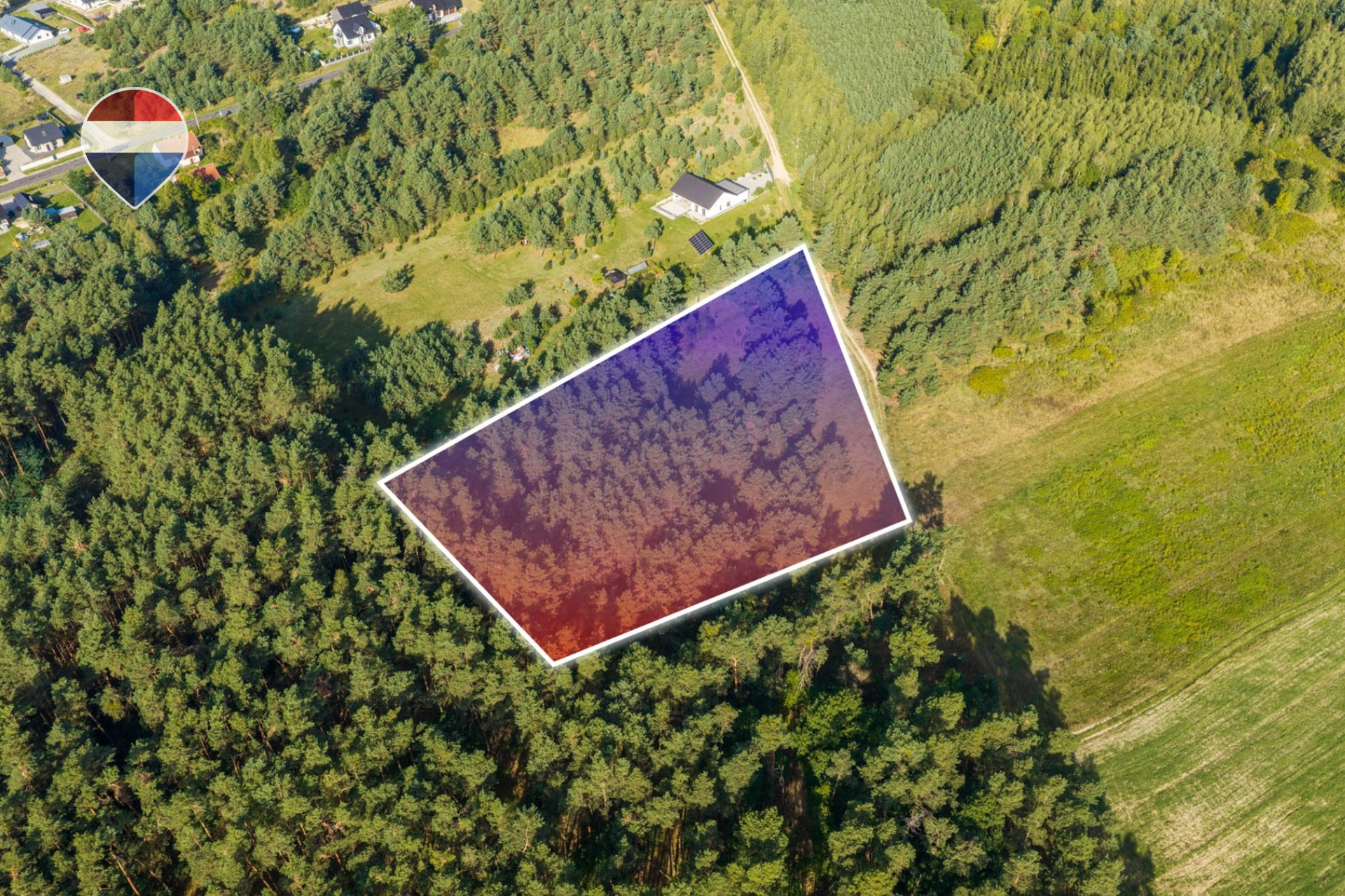 Zdjęcie 8