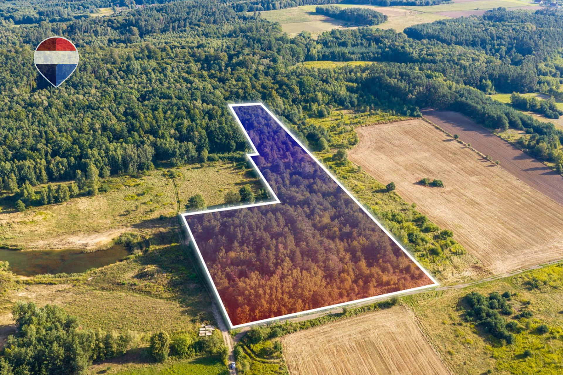 Działka leśna pow. 29.600 m², Bukowina Sycowska
