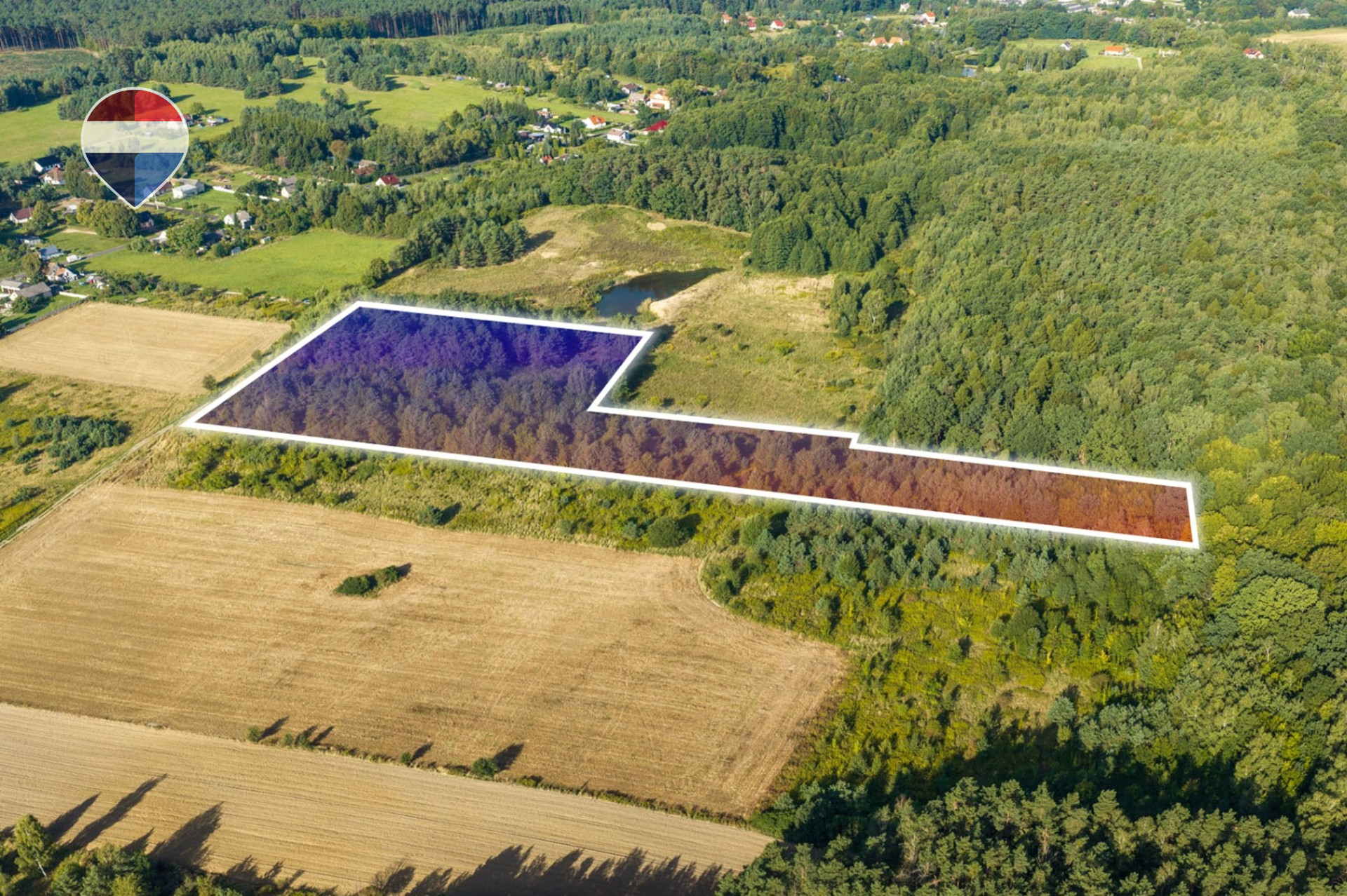 Zdjęcie 10