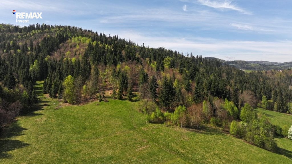 Działka leśna 9 506 m², Wisła