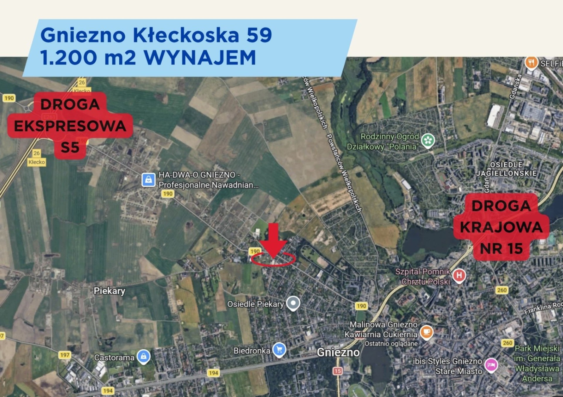 Zdjęcie 11