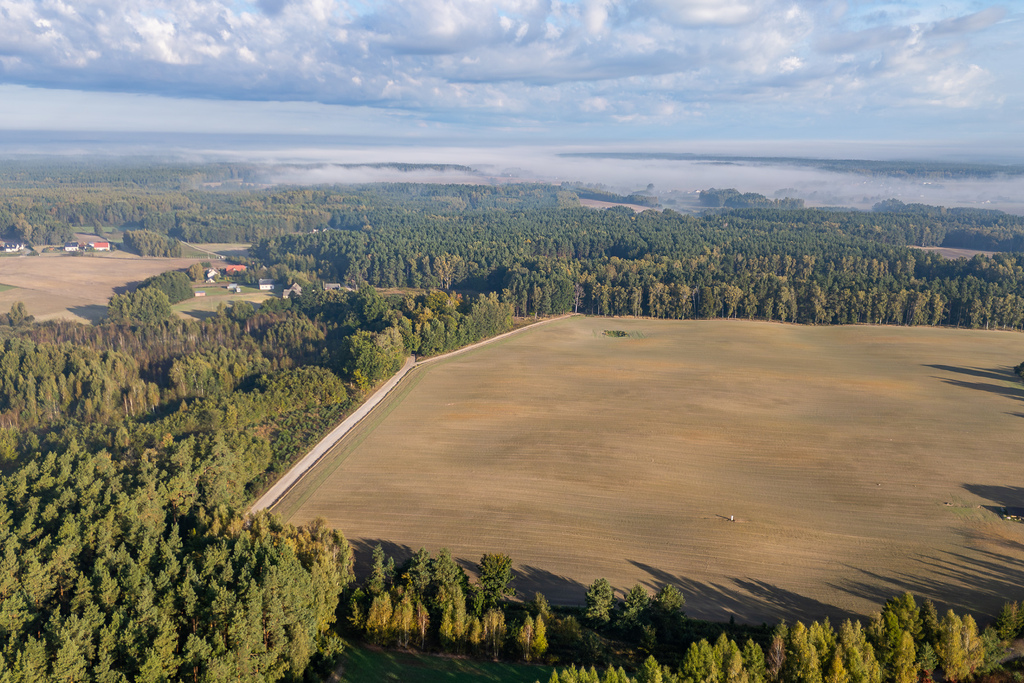 Zdjęcie 11