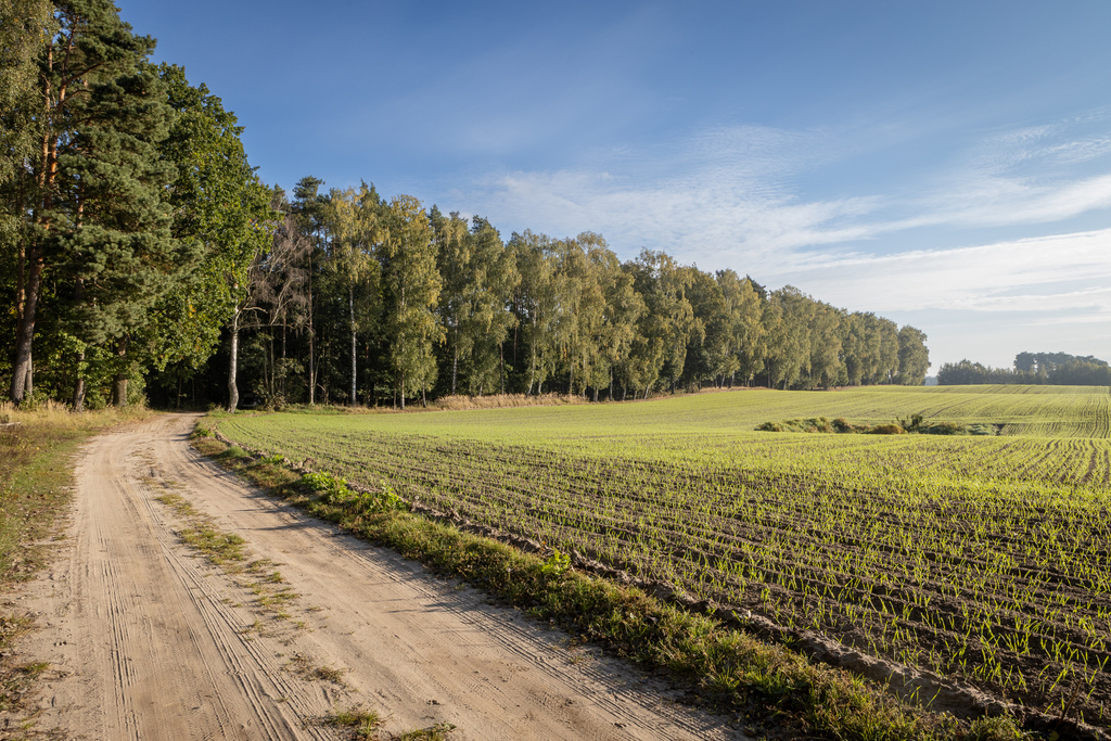 Zdjęcie 14