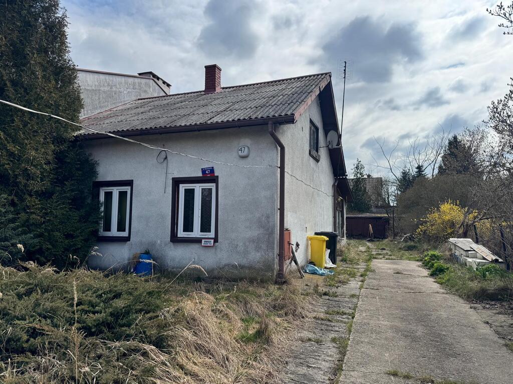 Zdjęcie 4