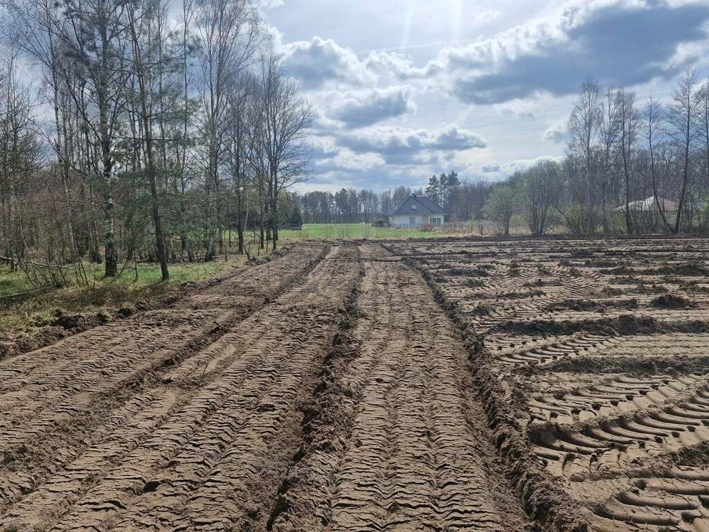 Zdjęcie 12