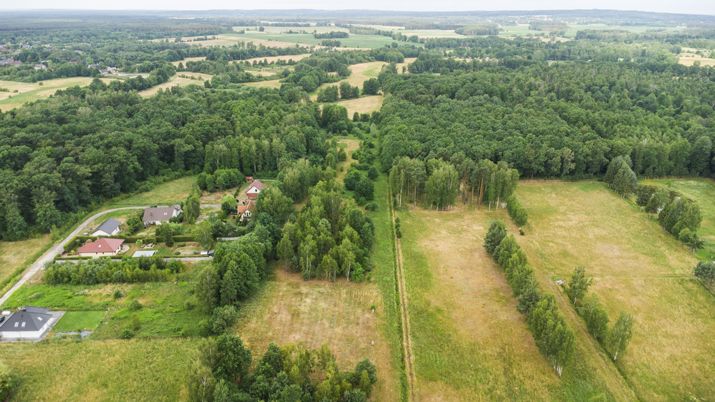 Zdjęcie 16