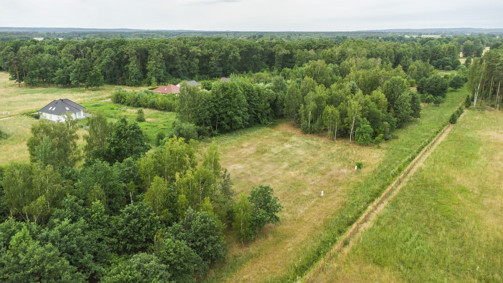 Zdjęcie 17