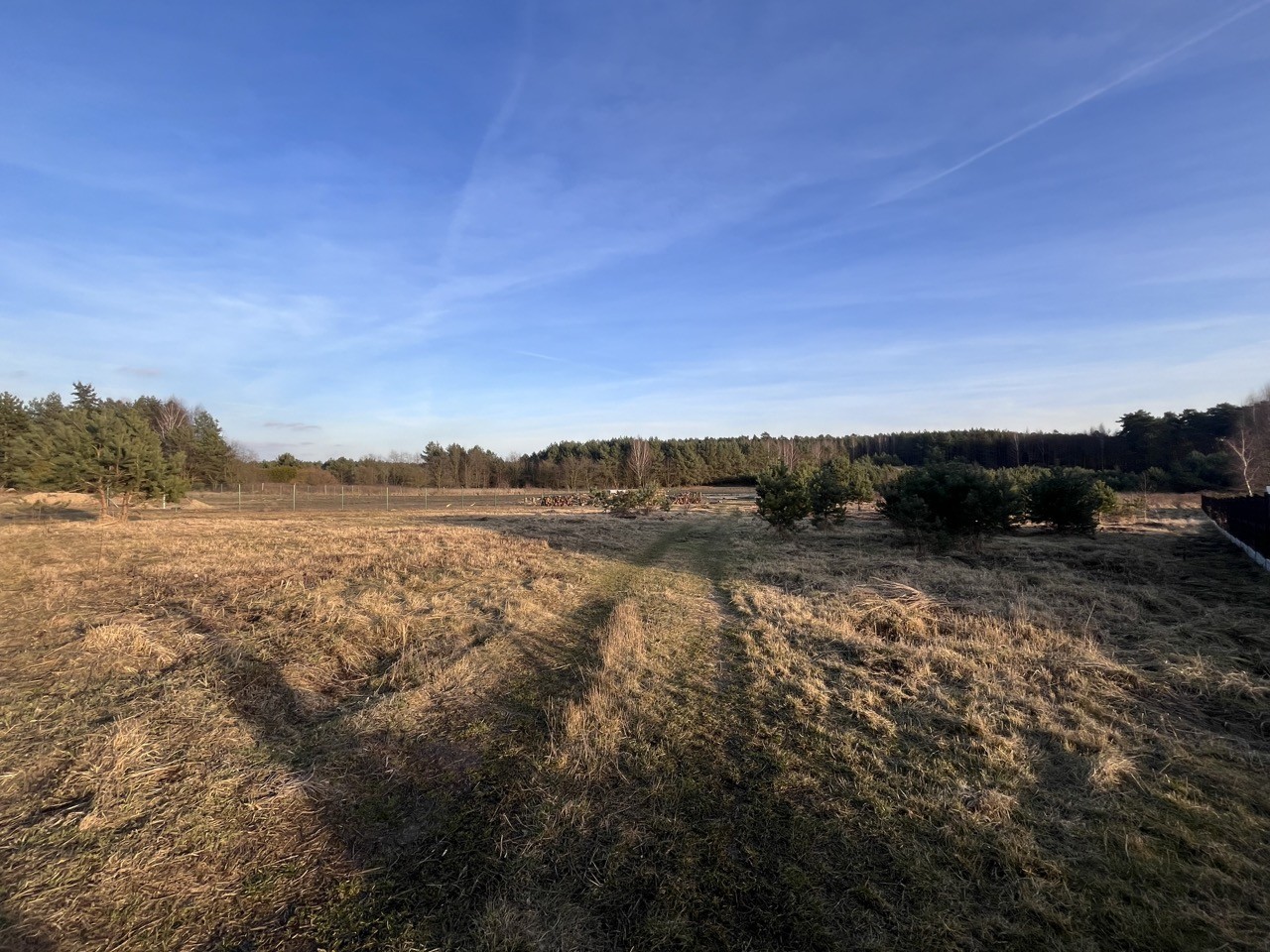 Zdjęcie 12