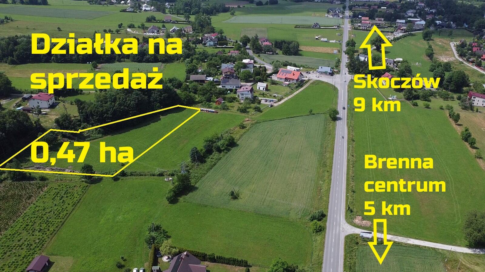 Zdjęcie 3