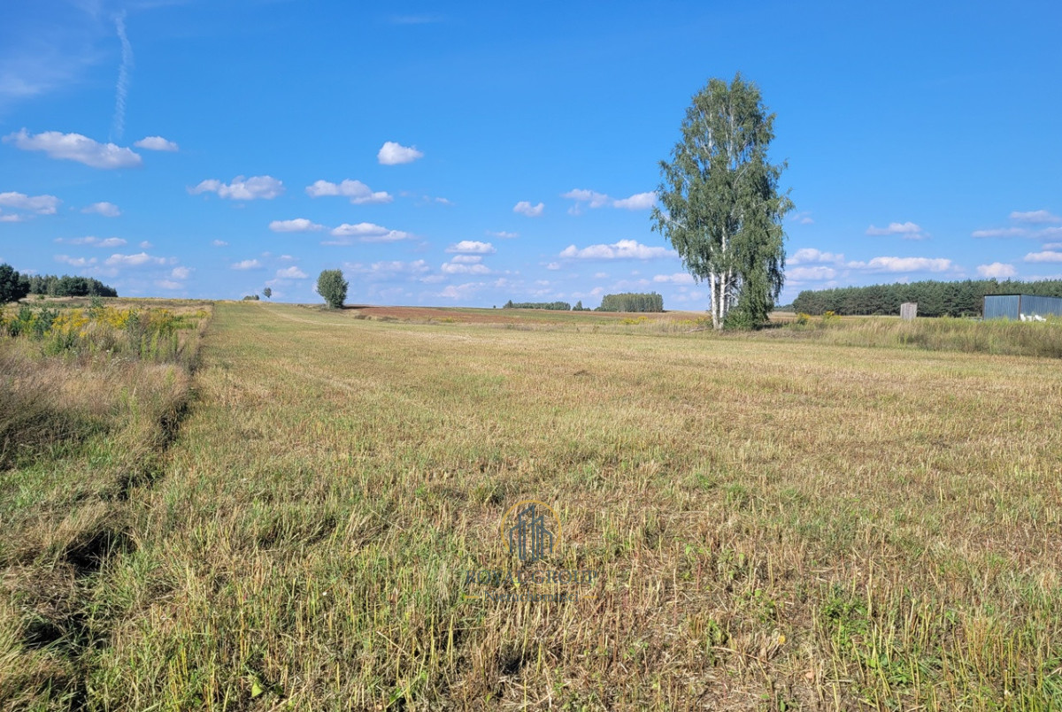 Zdjęcie 2