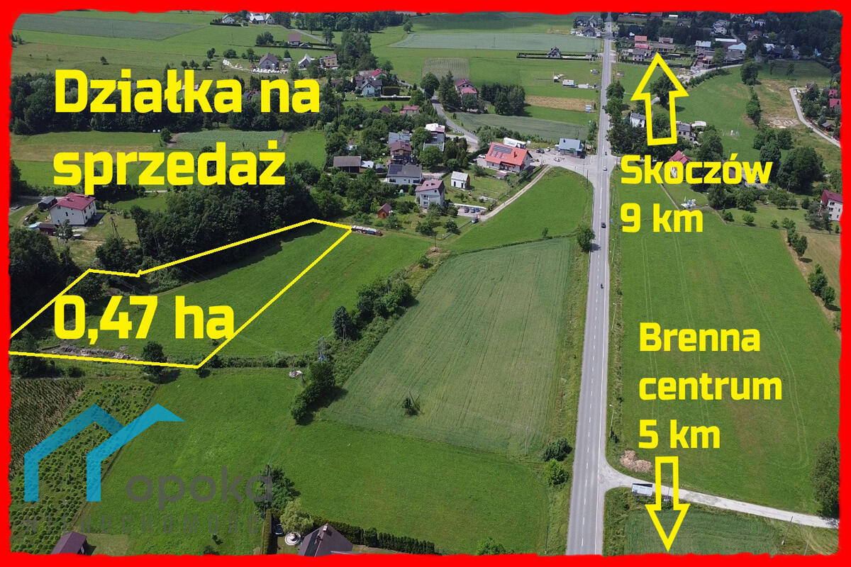 Zdjęcie 15