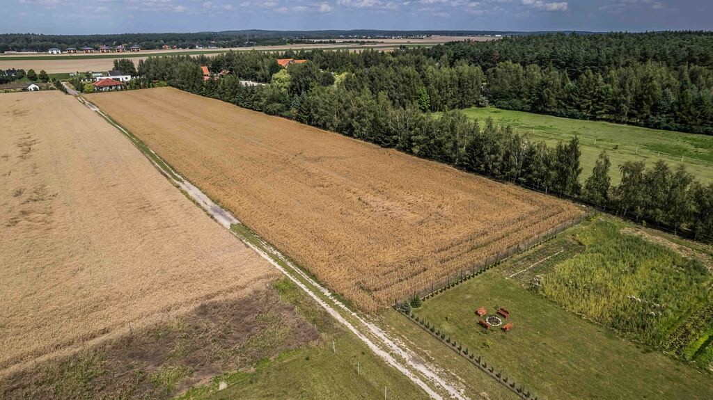 Zdjęcie 11