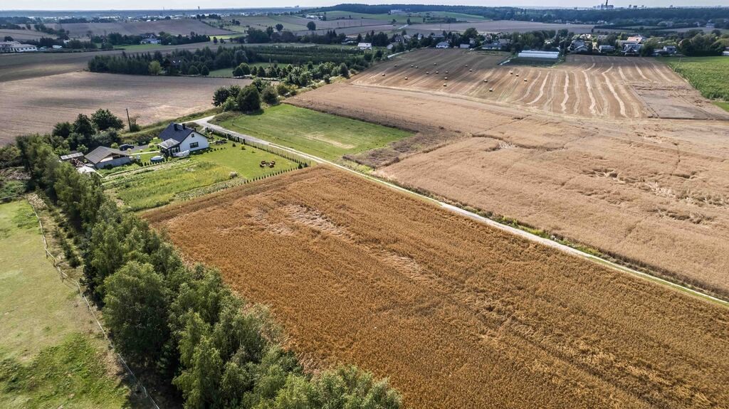 Zdjęcie 14