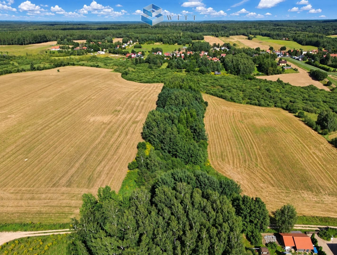 Zdjęcie 10