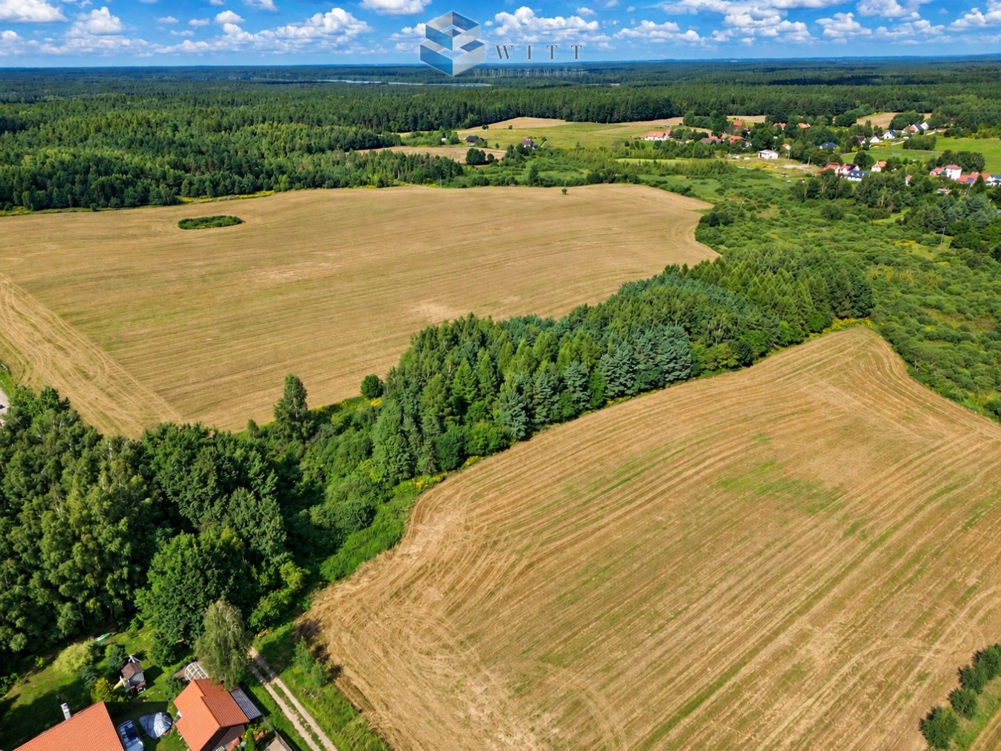 Zdjęcie 11