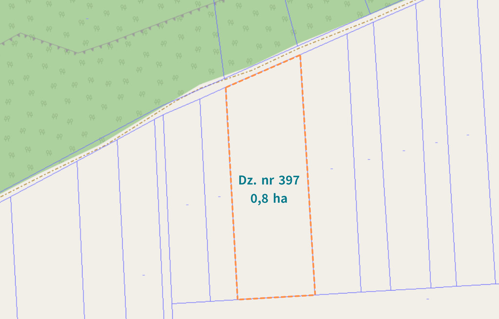 Zdjęcie 6