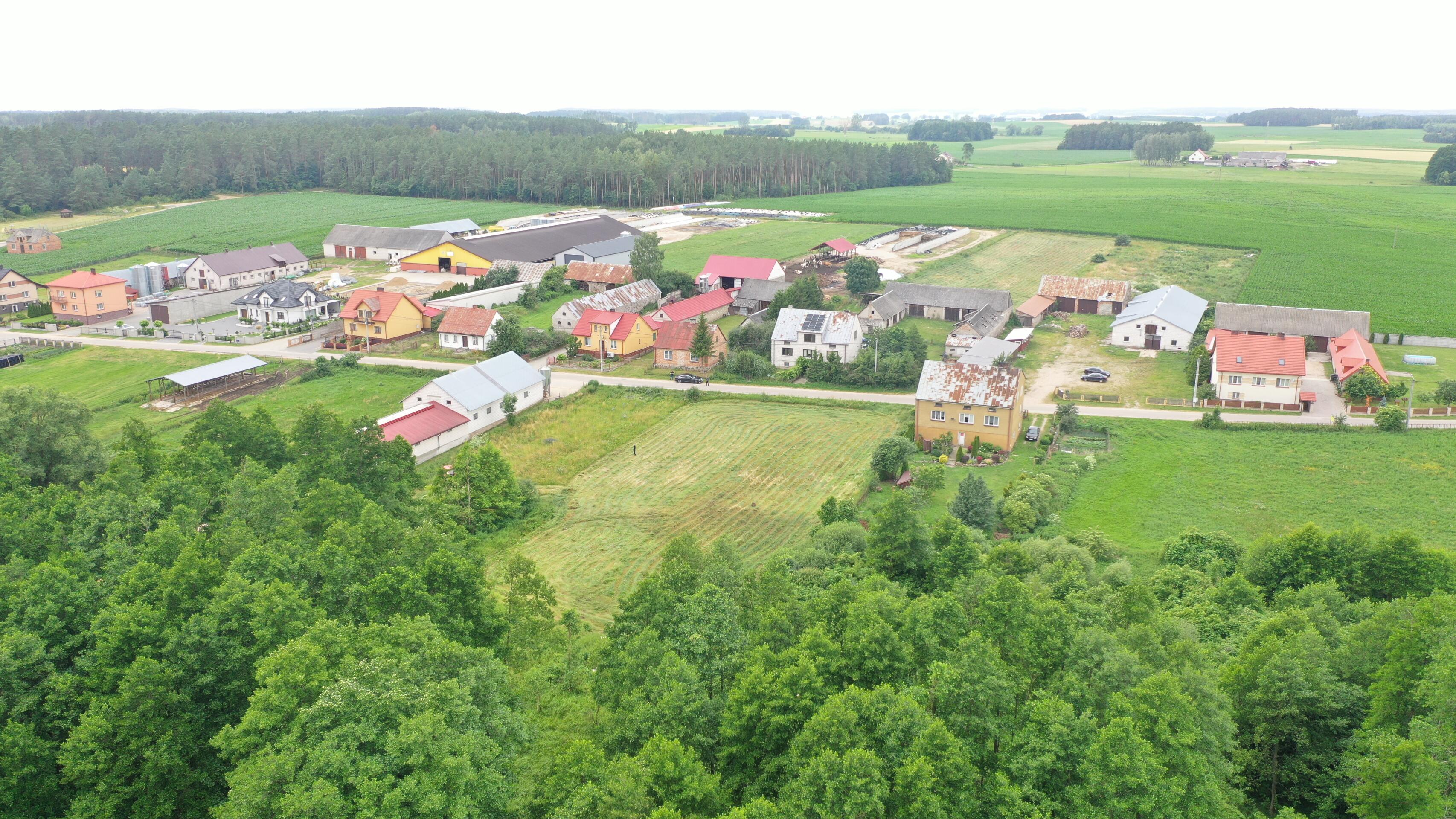 Zdjęcie 4