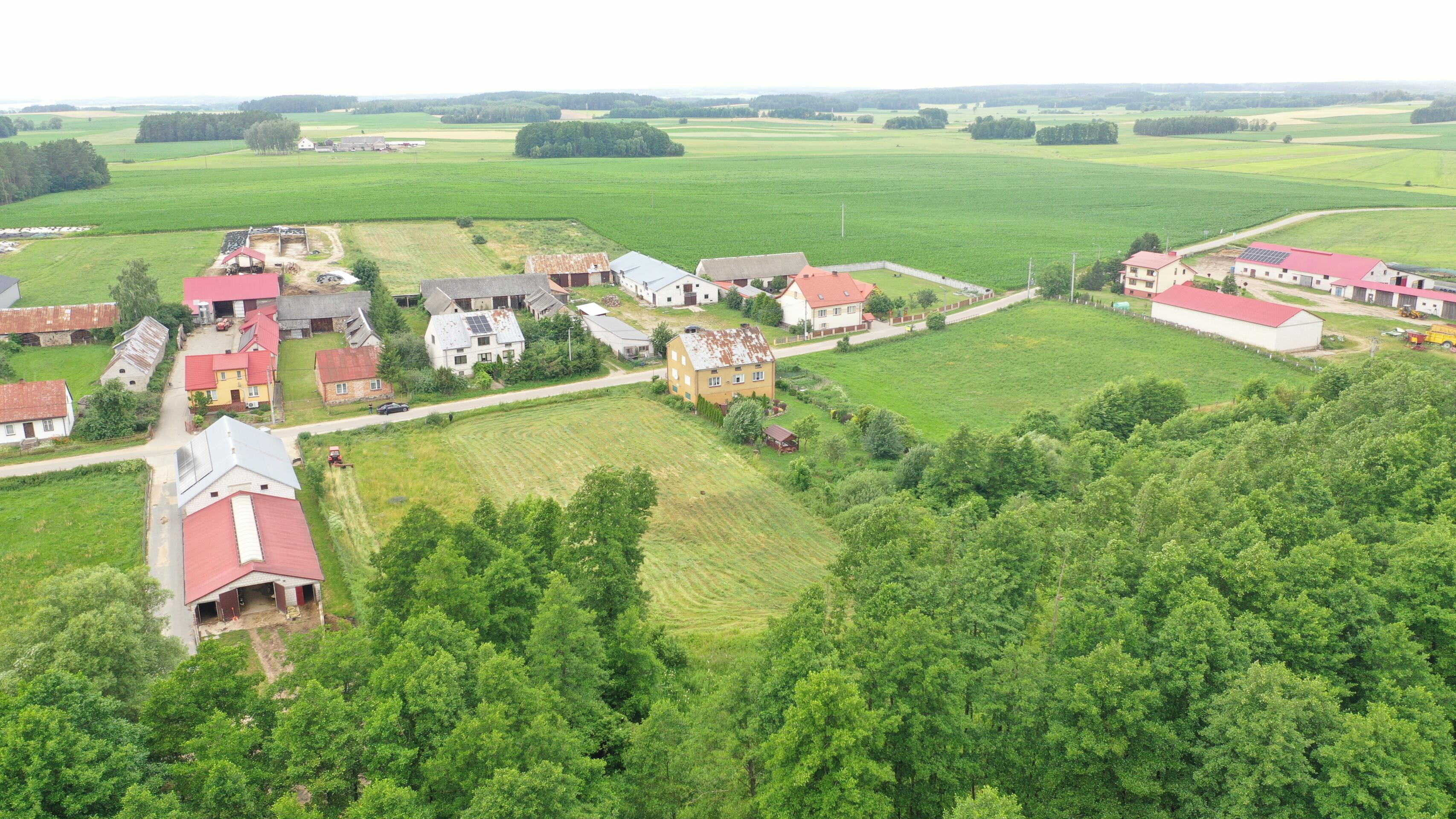 Zdjęcie 5