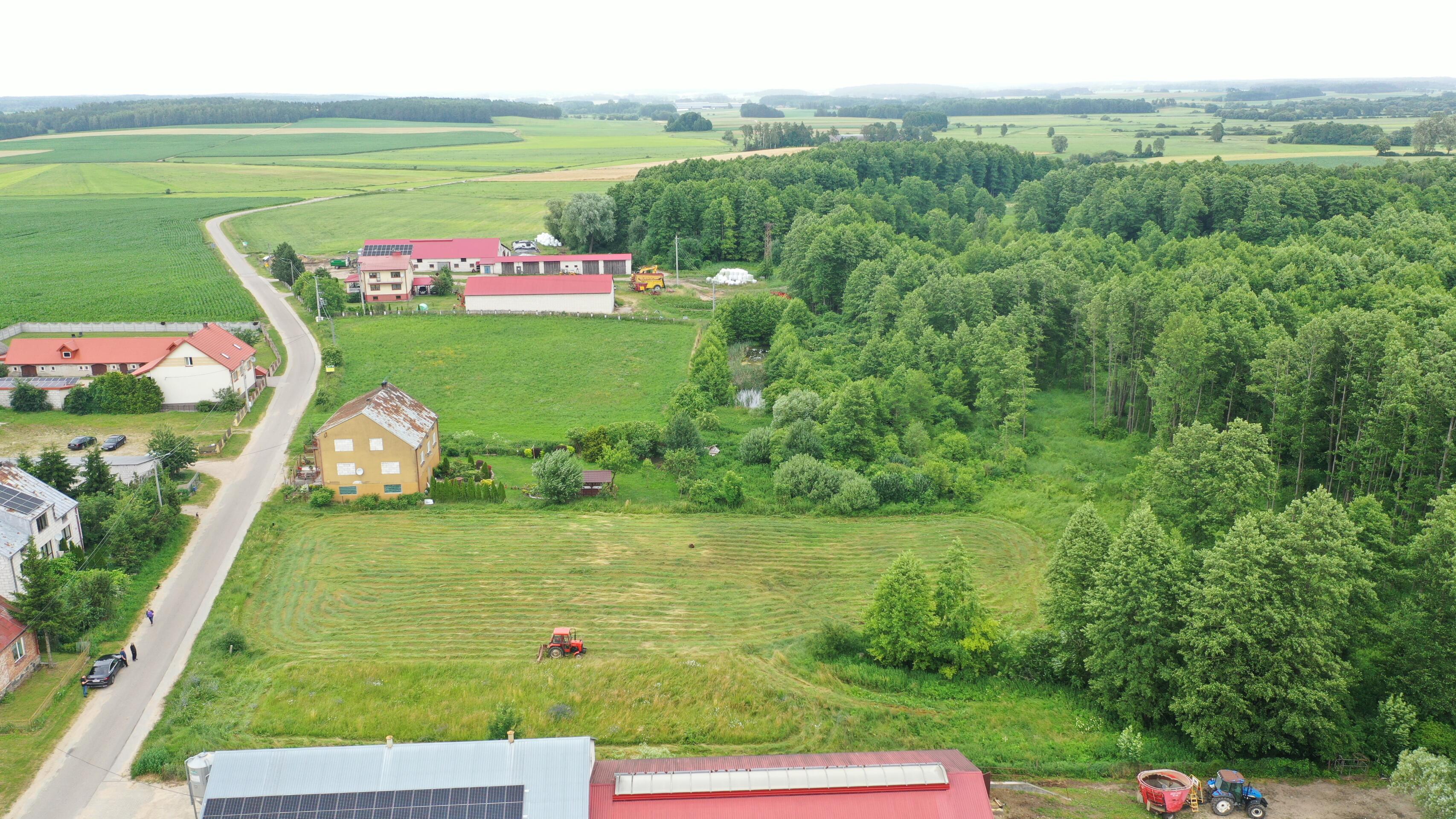 Zdjęcie 6