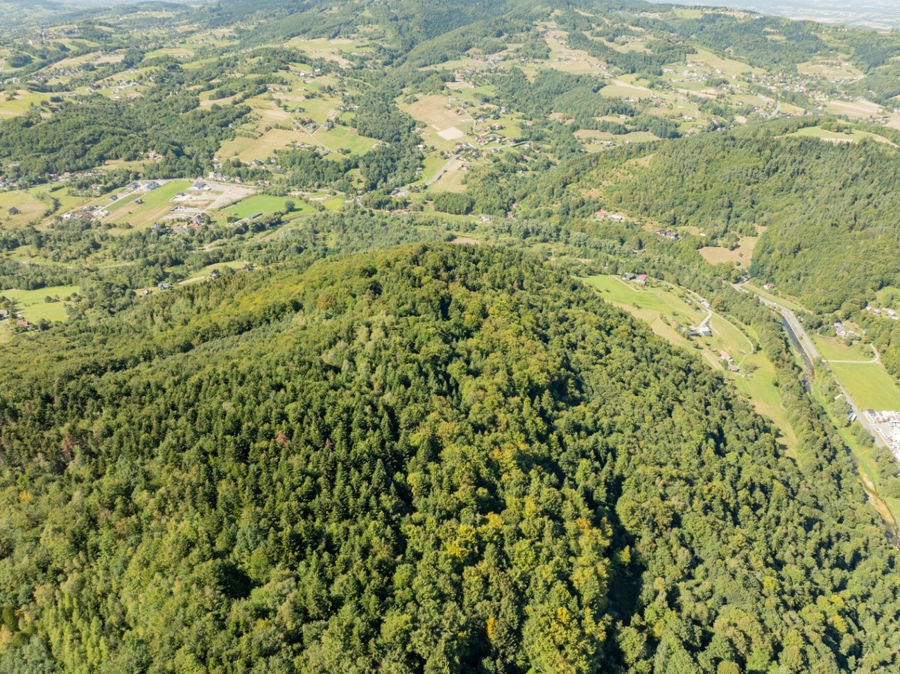 Zdjęcie 17