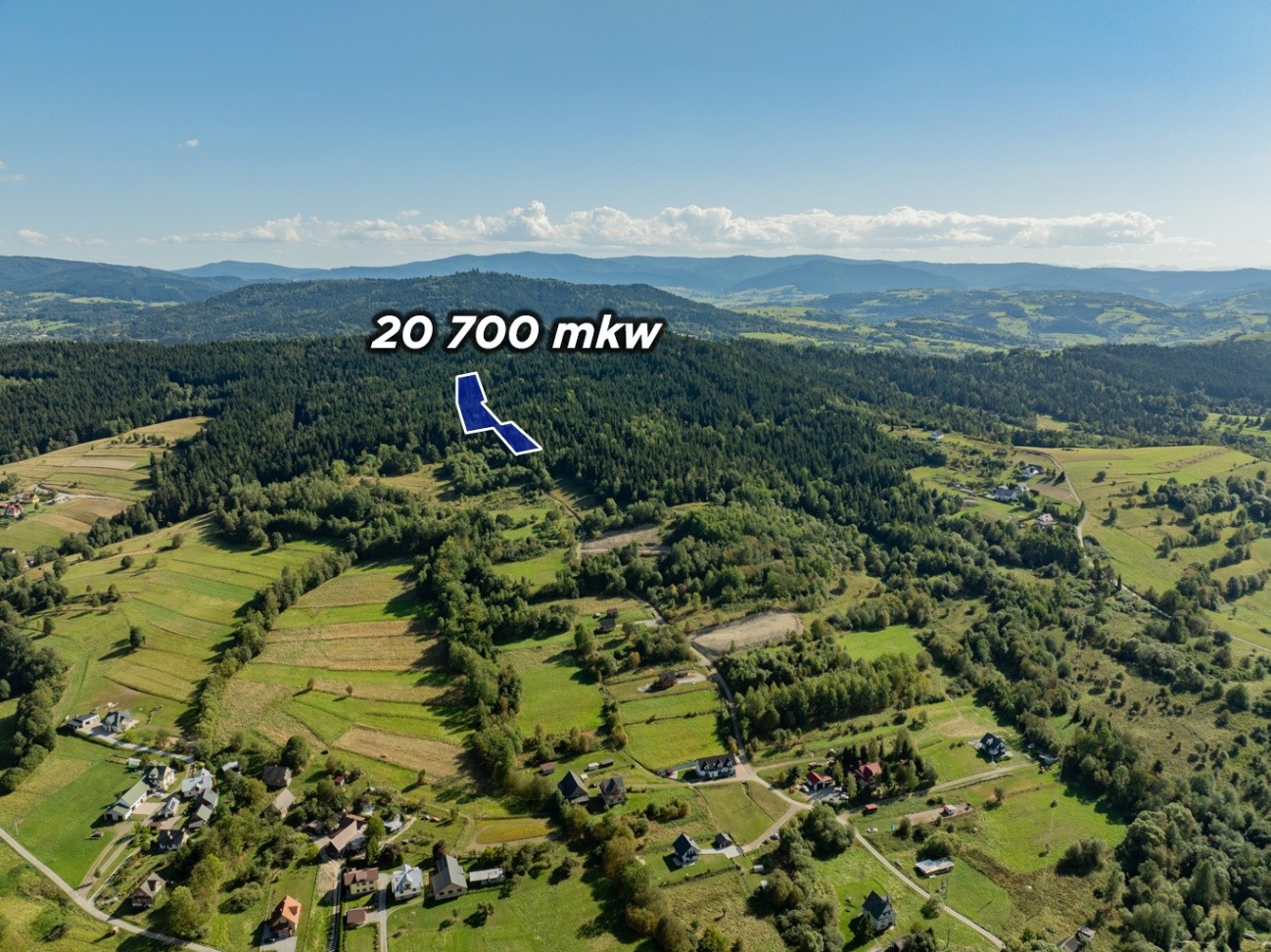 Działka leśna 20 700 m² – Kasina Wielka