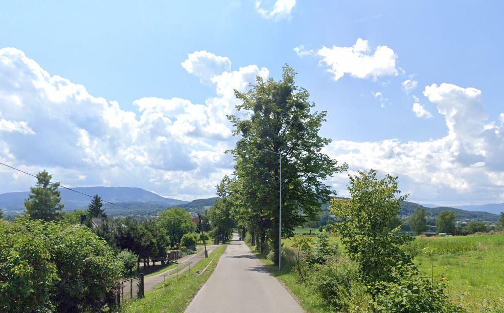 Zdjęcie 8