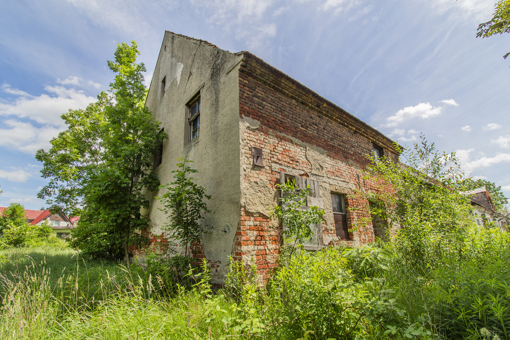 Zdjęcie 11