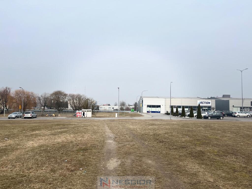 Zdjęcie 7