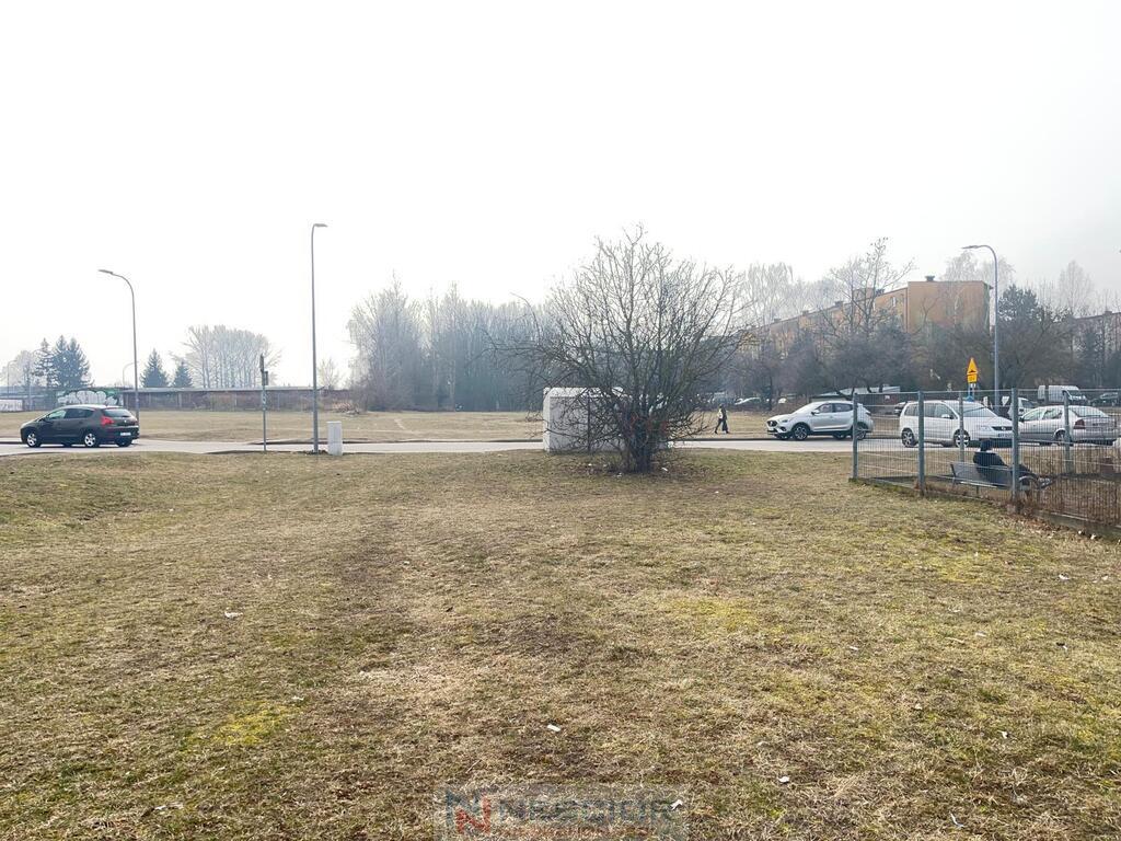 Zdjęcie 11