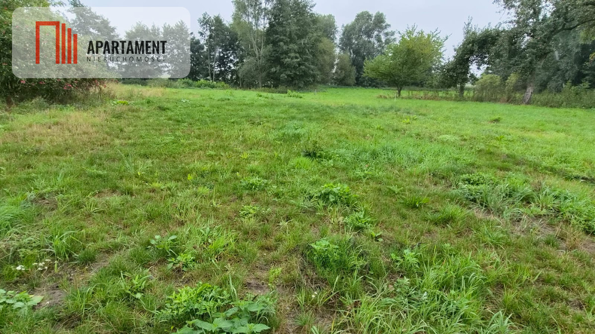Zdjęcie 7